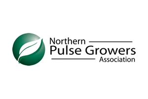 odney client:northernpulse.jpg